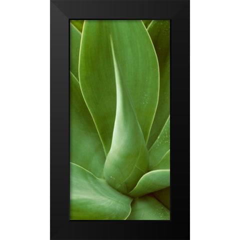 Patterned Nature I Black Modern Wood Framed Art Print by Vision Studio