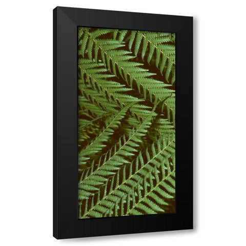 Patterned Nature II Black Modern Wood Framed Art Print by Vision Studio