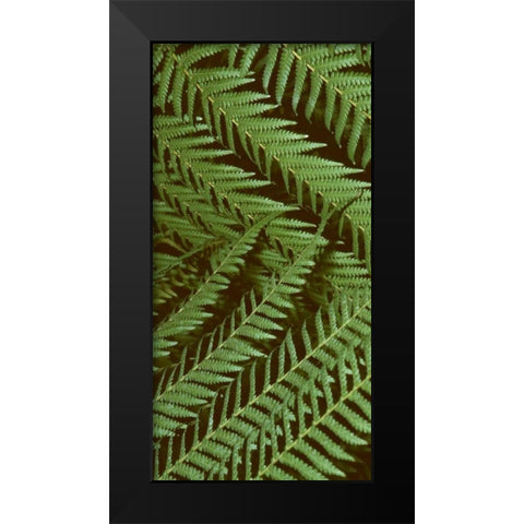 Patterned Nature II Black Modern Wood Framed Art Print by Vision Studio