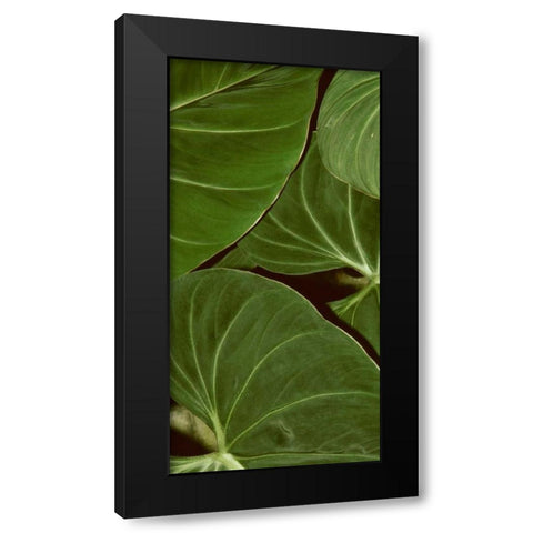 Patterned Nature III Black Modern Wood Framed Art Print by Vision Studio
