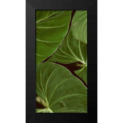 Patterned Nature III Black Modern Wood Framed Art Print by Vision Studio