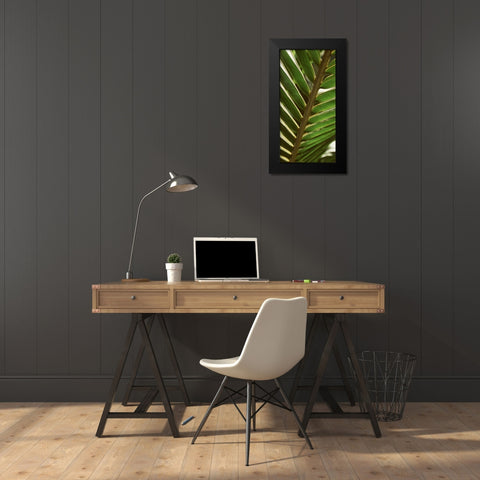 Patterned Nature IV Black Modern Wood Framed Art Print by Vision Studio