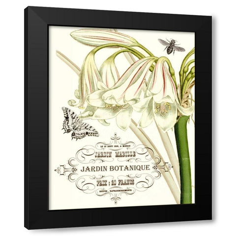 Jardin Botanique I Black Modern Wood Framed Art Print with Double Matting by Vision Studio
