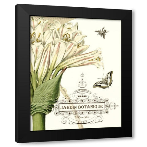 Jardin Botanique II Black Modern Wood Framed Art Print with Double Matting by Vision Studio