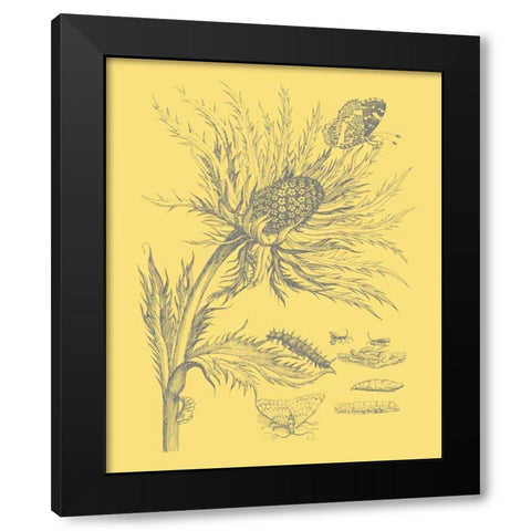 Natures Optimism I Black Modern Wood Framed Art Print with Double Matting by Vision Studio