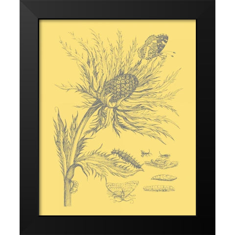 Natures Optimism I Black Modern Wood Framed Art Print by Vision Studio
