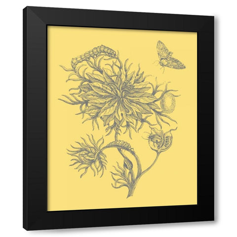 Natures Optimism II Black Modern Wood Framed Art Print by Vision Studio