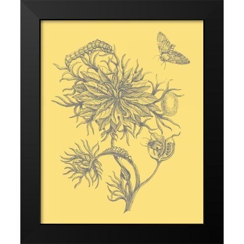 Natures Optimism II Black Modern Wood Framed Art Print by Vision Studio