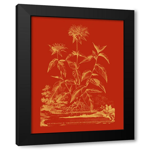 Paprika Bouquet II Black Modern Wood Framed Art Print by Vision Studio
