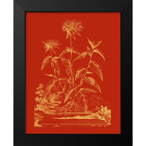 Paprika Bouquet II Black Modern Wood Framed Art Print by Vision Studio