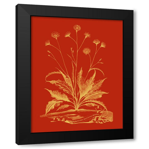 Paprika Bouquet III Black Modern Wood Framed Art Print with Double Matting by Vision Studio