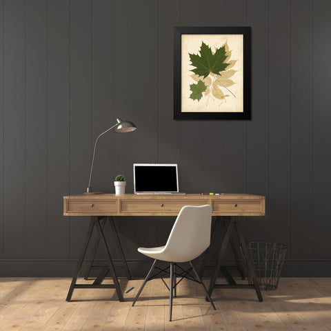 Natures Collage I Black Modern Wood Framed Art Print by Vision Studio