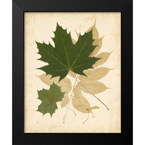 Natures Collage I Black Modern Wood Framed Art Print by Vision Studio