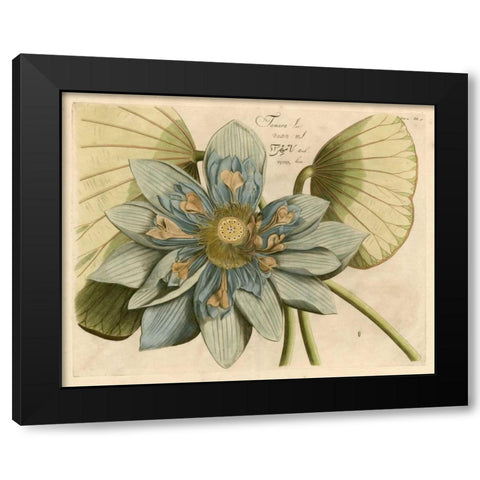 Blue Lotus Flower I Black Modern Wood Framed Art Print with Double Matting by Vision Studio