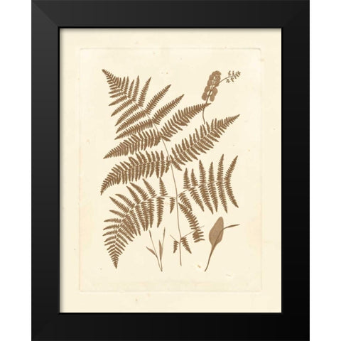 Sepia Ferns I Black Modern Wood Framed Art Print by Vision Studio
