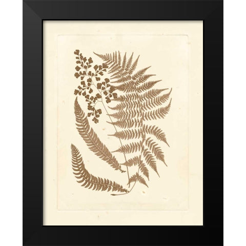 Sepia Ferns III Black Modern Wood Framed Art Print by Vision Studio