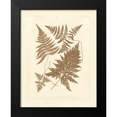 Sepia Ferns VI Black Modern Wood Framed Art Print by Vision Studio
