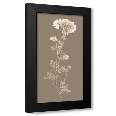Taupe Nature Study I Black Modern Wood Framed Art Print with Double Matting by Vision Studio