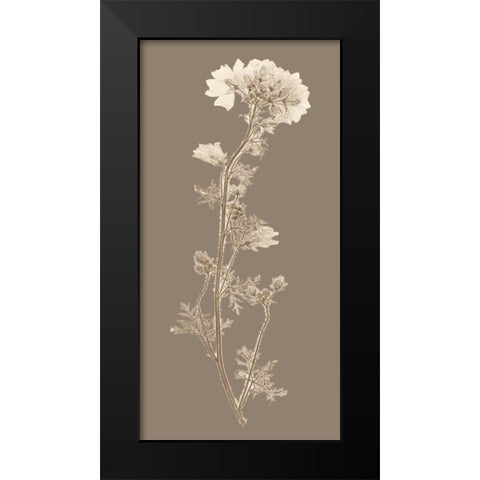 Taupe Nature Study I Black Modern Wood Framed Art Print by Vision Studio
