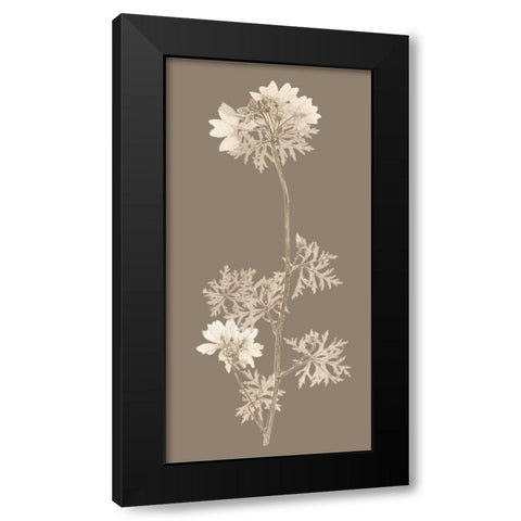 Taupe Nature Study II Black Modern Wood Framed Art Print with Double Matting by Vision Studio