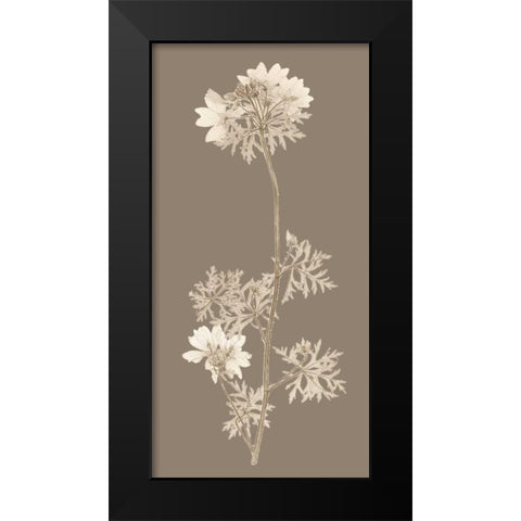 Taupe Nature Study II Black Modern Wood Framed Art Print by Vision Studio