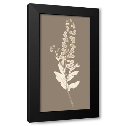 Taupe Nature Study III Black Modern Wood Framed Art Print with Double Matting by Vision Studio