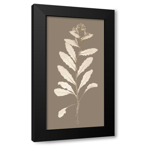 Taupe Nature Study IV Black Modern Wood Framed Art Print by Vision Studio