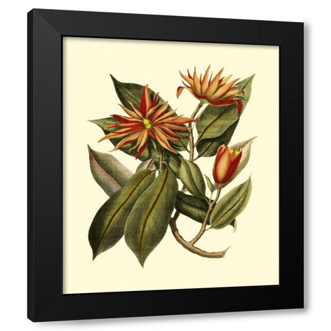 Magnificent Foliage I Black Modern Wood Framed Art Print with Double Matting by Vision Studio