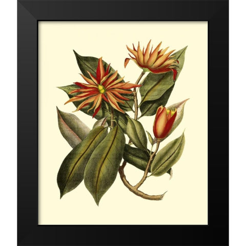 Magnificent Foliage I Black Modern Wood Framed Art Print by Vision Studio