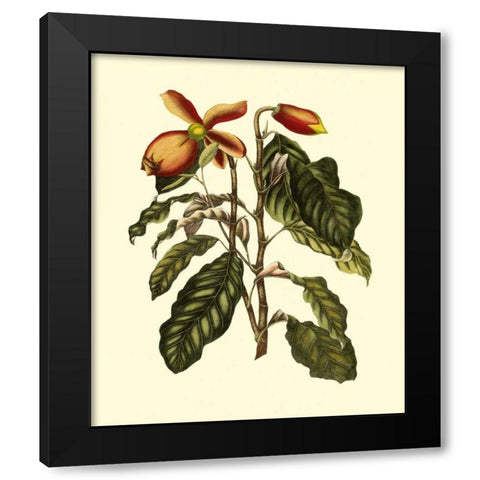 Magnificent Foliage II Black Modern Wood Framed Art Print with Double Matting by Vision Studio