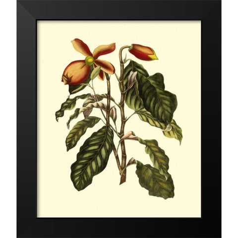 Magnificent Foliage II Black Modern Wood Framed Art Print by Vision Studio