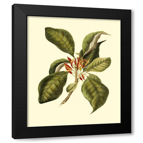 Magnificent Foliage III Black Modern Wood Framed Art Print by Vision Studio