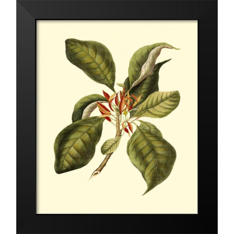 Magnificent Foliage III Black Modern Wood Framed Art Print by Vision Studio