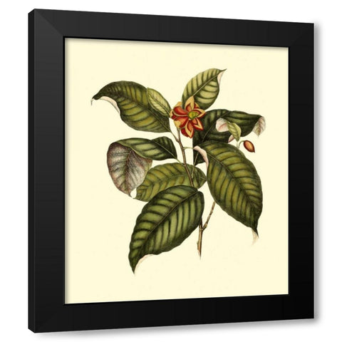 Magnificent Foliage IV Black Modern Wood Framed Art Print with Double Matting by Vision Studio