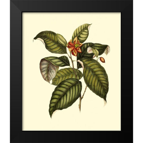 Magnificent Foliage IV Black Modern Wood Framed Art Print by Vision Studio