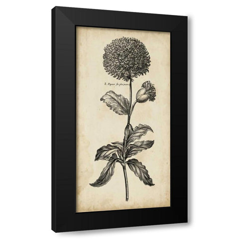 Singular Beauty II Black Modern Wood Framed Art Print with Double Matting by Vision Studio
