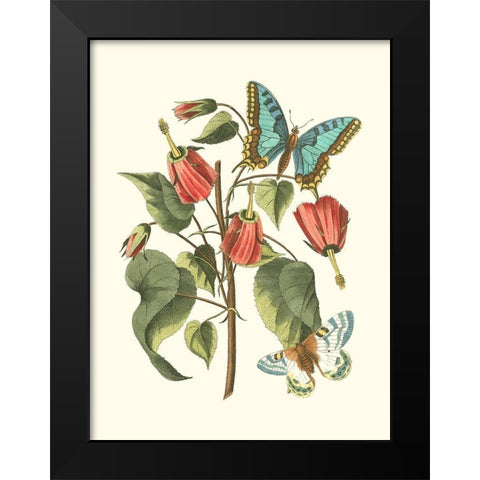 Midsummer Floral I Black Modern Wood Framed Art Print by Vision Studio