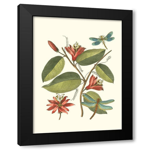Midsummer Floral IV Black Modern Wood Framed Art Print with Double Matting by Vision Studio