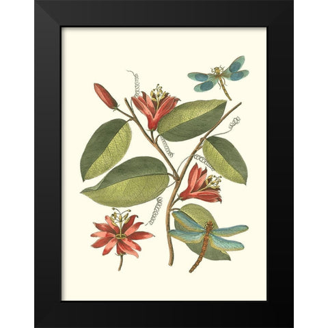 Midsummer Floral IV Black Modern Wood Framed Art Print by Vision Studio