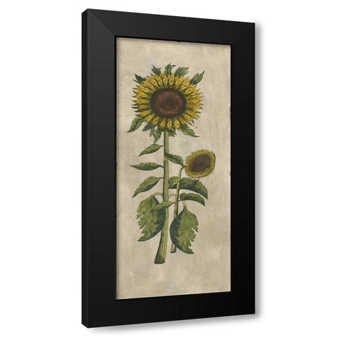 Sunflower Fresco I Black Modern Wood Framed Art Print with Double Matting by Vision Studio