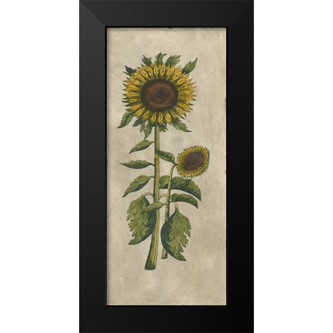 Sunflower Fresco I Black Modern Wood Framed Art Print by Vision Studio