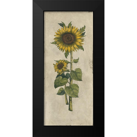 Sunflower Fresco II Black Modern Wood Framed Art Print by Vision Studio