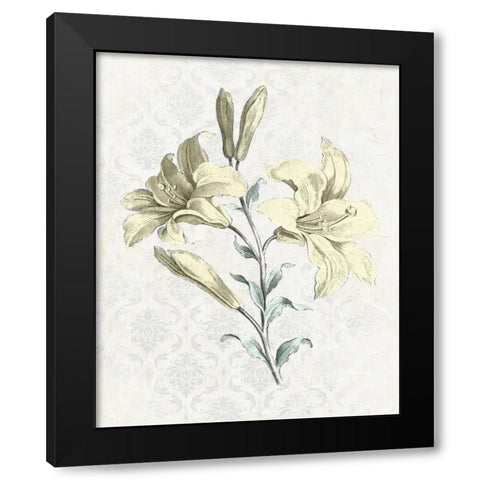 Victorian Blooms III Black Modern Wood Framed Art Print with Double Matting by Vision Studio