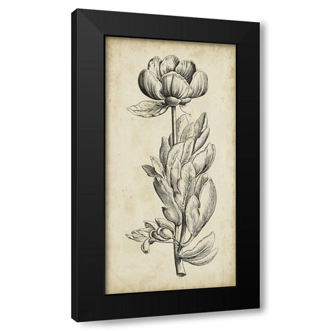 Singular Beauty IV Black Modern Wood Framed Art Print with Double Matting by Vision Studio