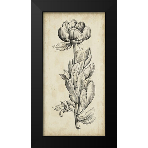 Singular Beauty IV Black Modern Wood Framed Art Print by Vision Studio