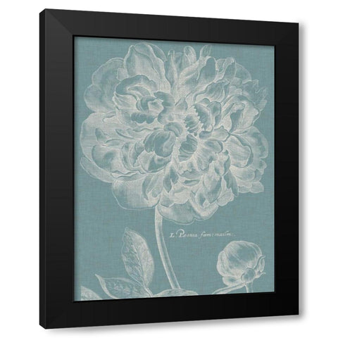 Graceful Peony I Black Modern Wood Framed Art Print with Double Matting by Vision Studio