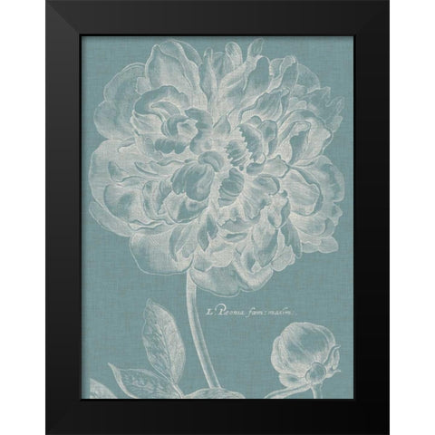 Graceful Peony I Black Modern Wood Framed Art Print by Vision Studio