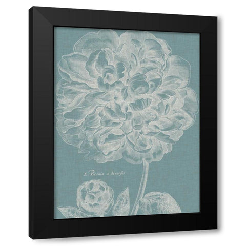 Graceful Peony II Black Modern Wood Framed Art Print with Double Matting by Vision Studio