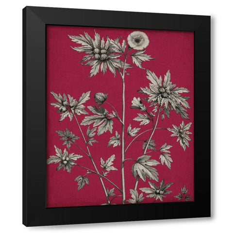 Vivid Chintz II Black Modern Wood Framed Art Print with Double Matting by Vision Studio