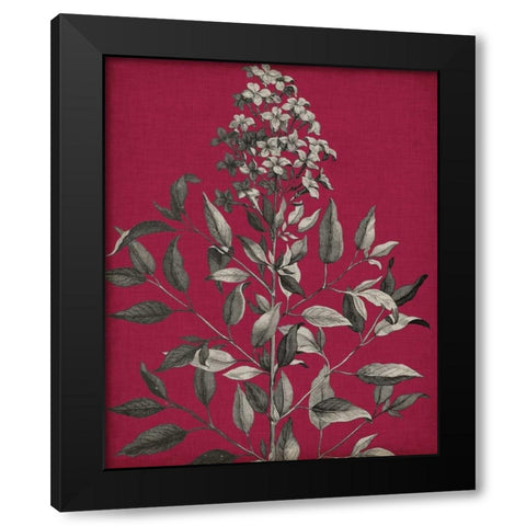 Vivid Chintz IV Black Modern Wood Framed Art Print with Double Matting by Vision Studio